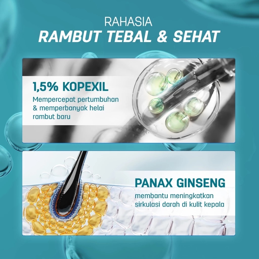 Jual ERHA ERHAIR Serum Penumbuh Rambut Hairgrow Serum 7x8 ml Panax ...
