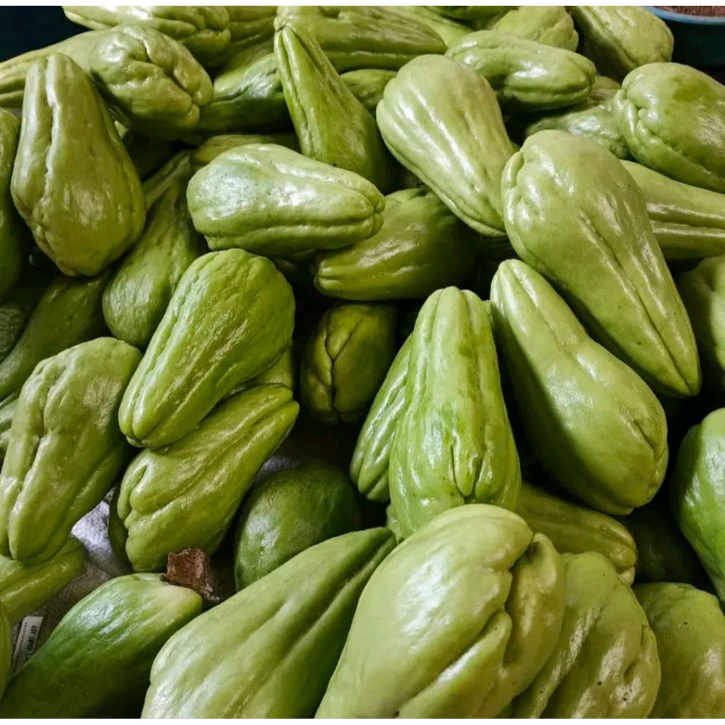 Jual Labu siam waluh fresh kemasan 1kg | Shopee Indonesia