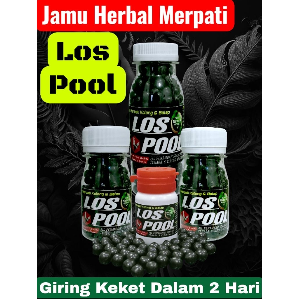 Jual ISI 300 PIL JAMU MERPATI LOS DOOR POOL jamu merpati kolong Dan ...