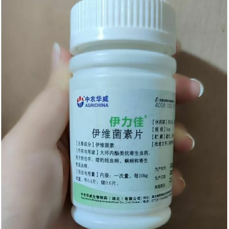 Jual ECER tablet mectin ivermectin invermectine 5 mg eceran original ...