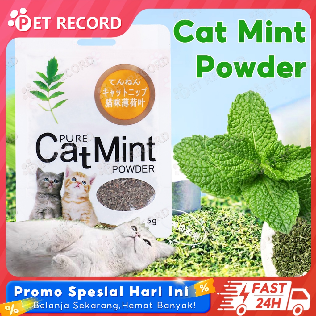 Jual Catnip Catmint Snack Kucing Pure Cat Mint Powder 5g Cemilan Hewan ...