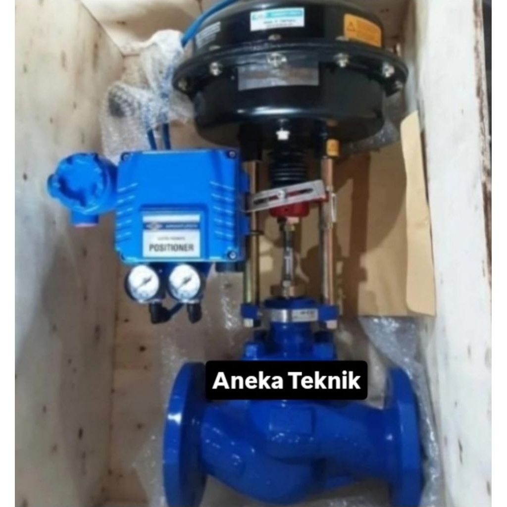 Jual CONTROL VALVE PN16 ARI ARMATUREN/ARI-STEVI + POSITIONER 3 ...