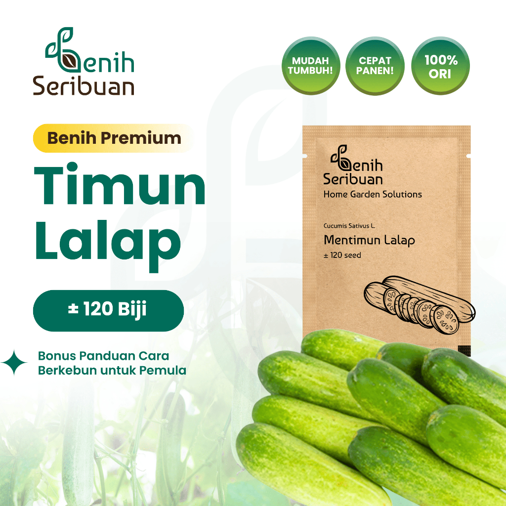 Benih Seribuan - Benih Sayuran Timun Lalap Unggul