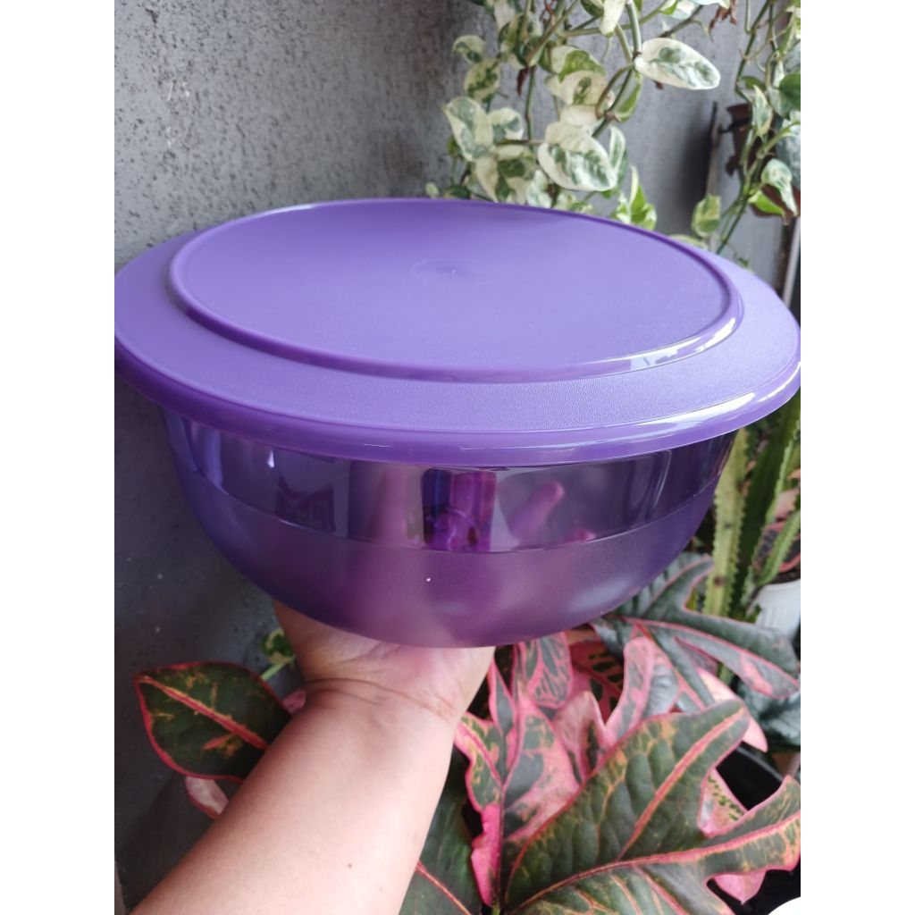 Jual Table collection tupperware 3,5 liter | Shopee Indonesia