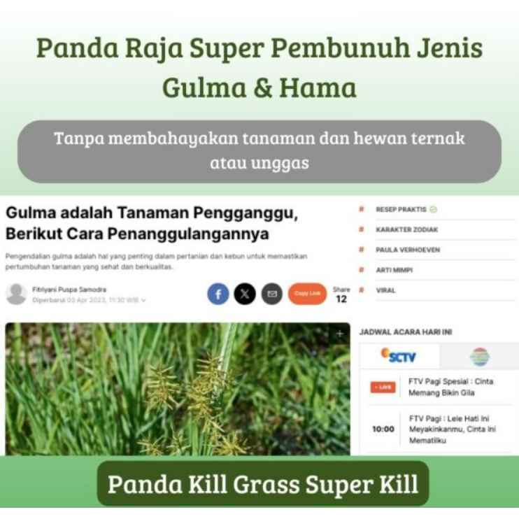 Jual Bibitmu - (Isi 250ml) ORIGINAL KILL GRASS PANDA PEMBASMI RUMPUT ...