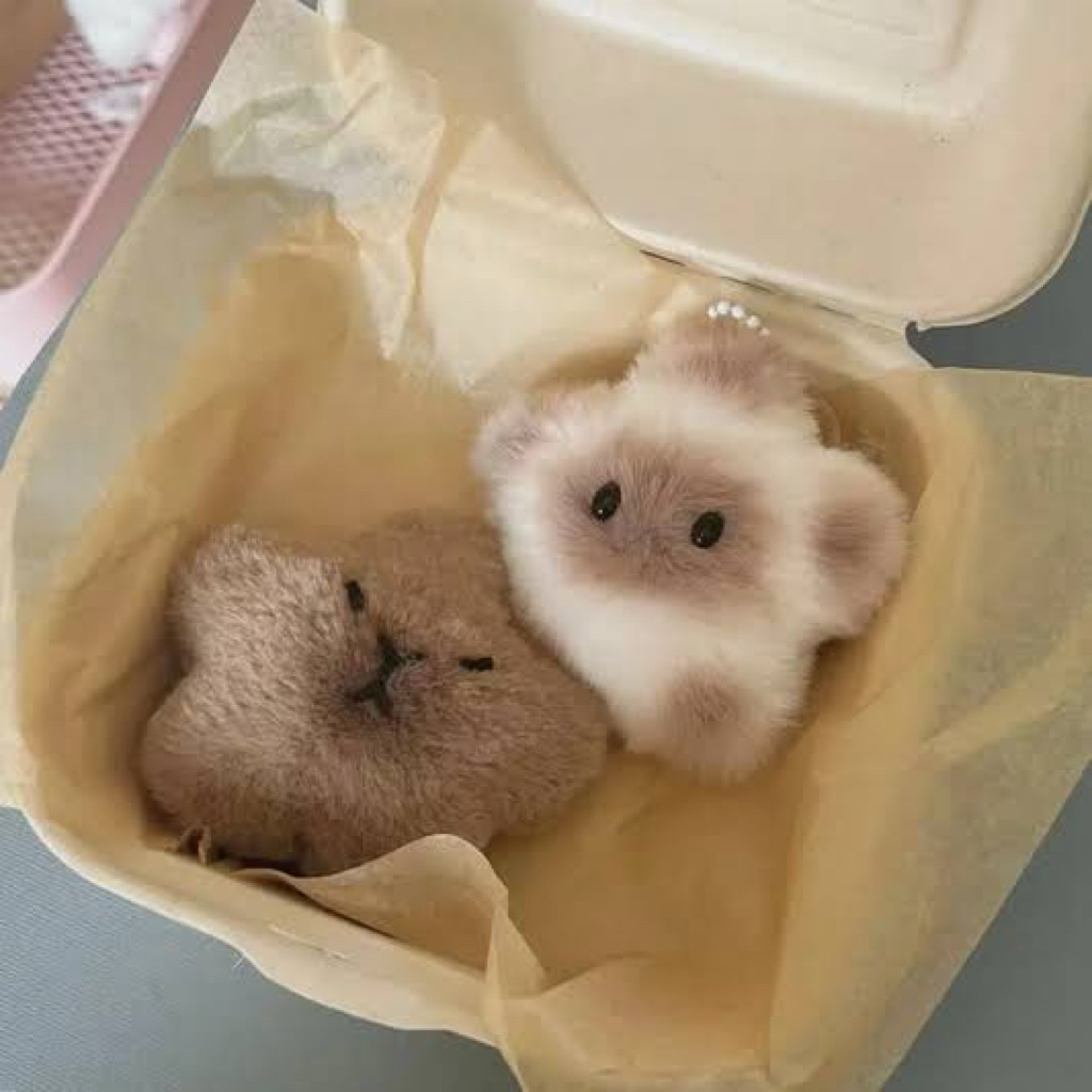 Jual CLEARANCE SALE Capybara star gantungan kunci kapibara masbro lucu ...