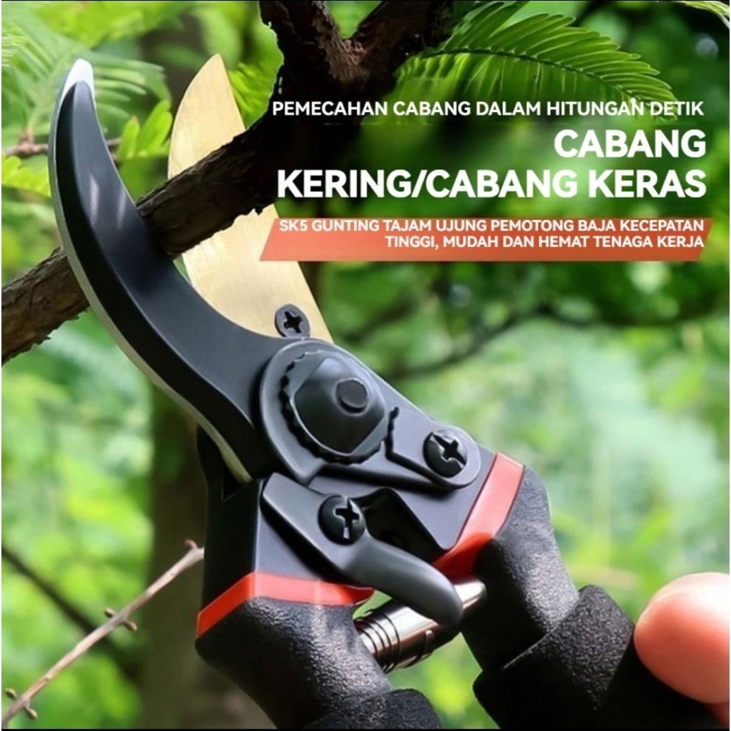 Jual Gunting Dahan Ranting Buah Garden Pruning Scissors Tanaman Pohon ...