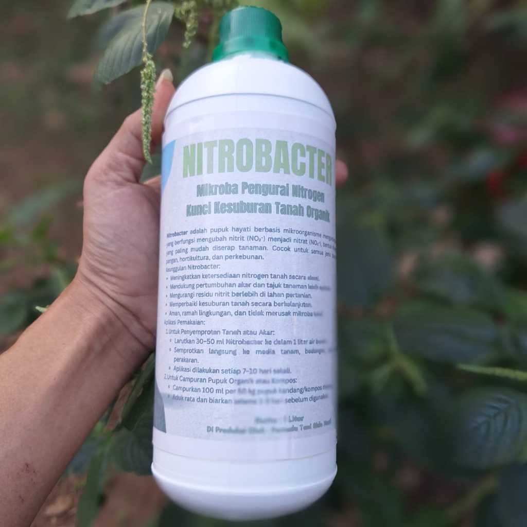 Jual Hai Mampir Shop Sido Hasil - 1 Liter Nitrobacter (Mikroorganik ...