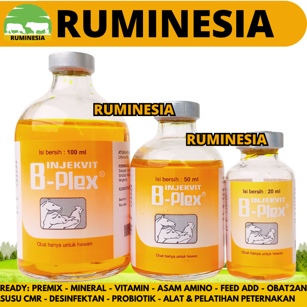 Jual INJEKVIT B PLEX 20ml 50ml dan 100ml - Vitamin B Complex B Kompleks ...