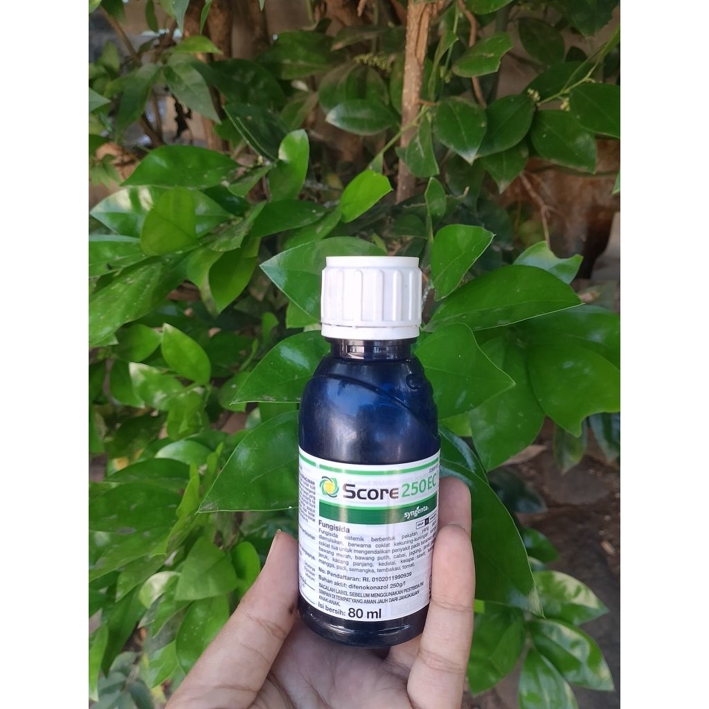 Jual Score 250EC (80 ML) | Shopee Indonesia
