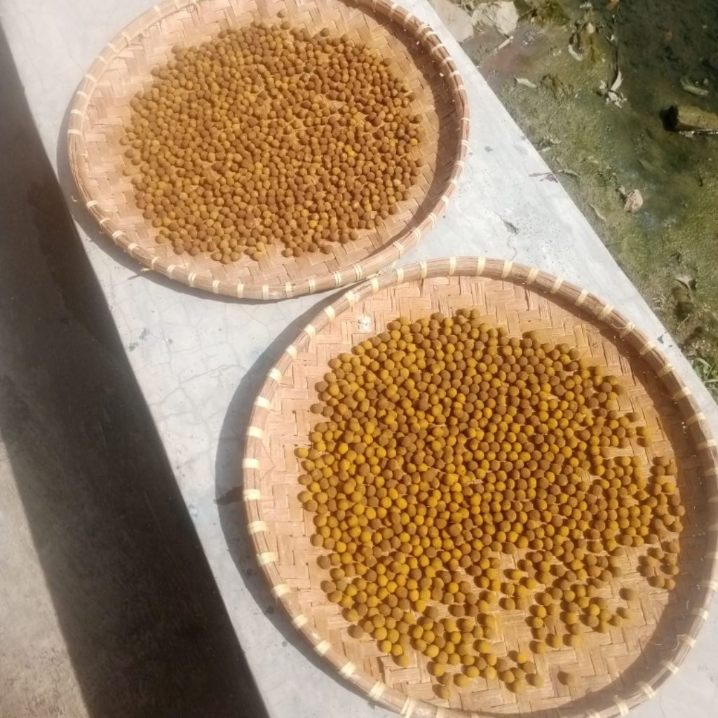 Jual Klenik jamu giring merpati giring jahat stamina dahsyat/Besar ...