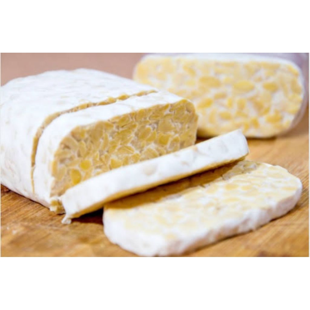 Jual Tempe 1 Batang Besar Fresh | Shopee Indonesia