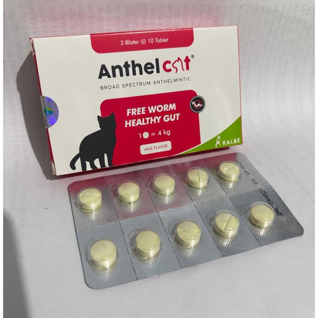 Jual 𝘼𝙉𝙏𝙃𝙀𝙇 𝘾𝘼𝙏 𝙊𝘽𝘼𝙏 𝘾𝘼𝘾𝙄𝙉𝙂 𝙆𝙐𝘾𝙄𝙉𝙂 𝙋𝙀𝙍 𝙏𝘼𝘽𝙇𝙀𝙏 | Shopee Indonesia