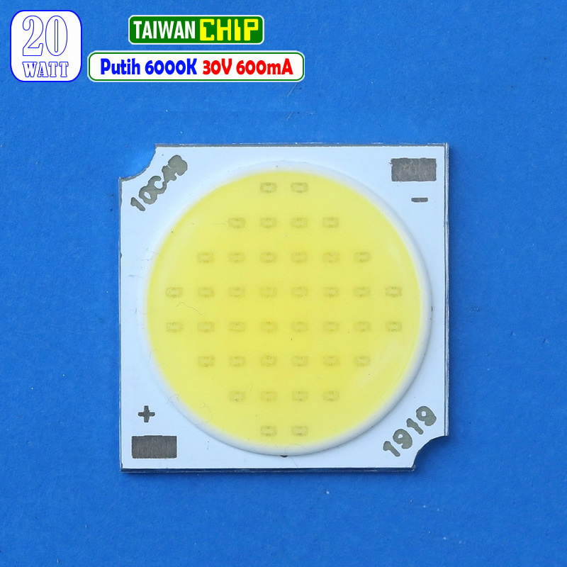 Jual COB 1919 20W LED Putih 6000K 6500K 30V Lampu Led Rel Rell Track ...