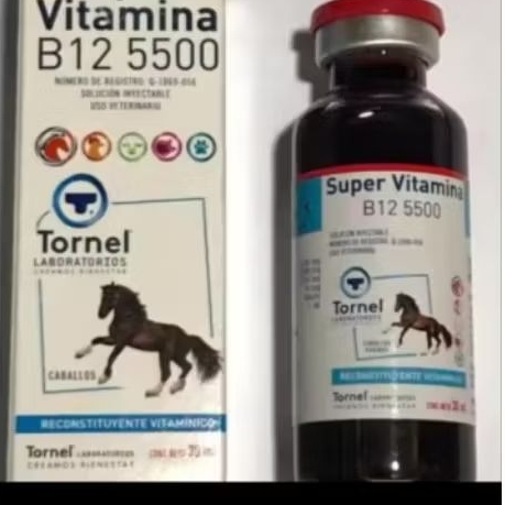 Jual Super Vitamina B12 5500 Obat Doping Kuda & Ayam Injection 30ml |  Shopee Indonesia