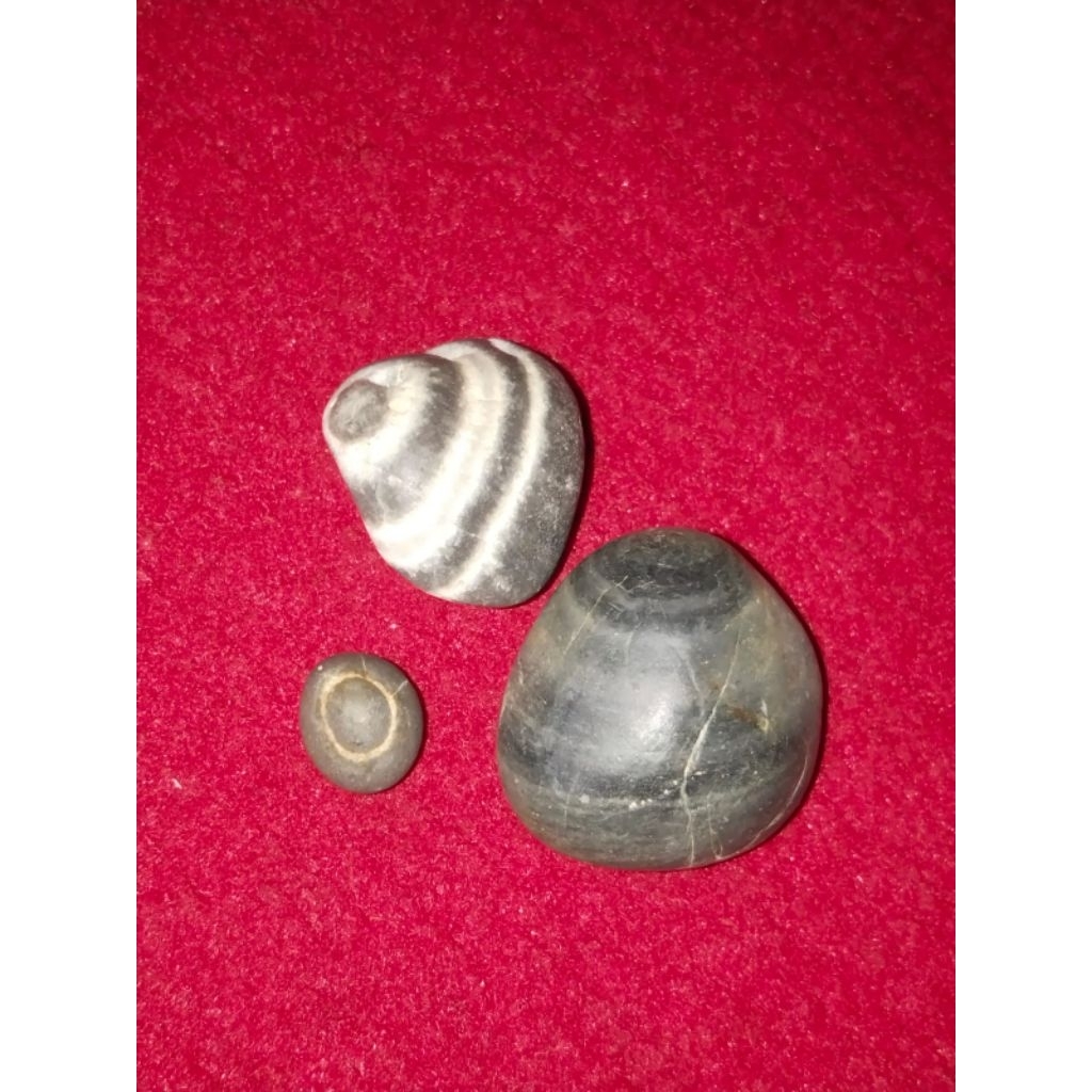 Jual Natural Batu alam (Buntat) | Shopee Indonesia
