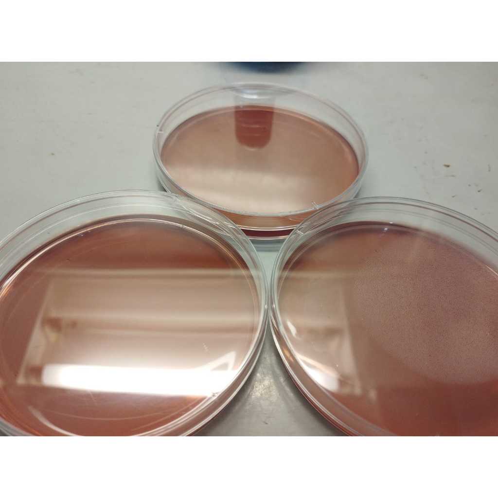 Jual Mac Conkey Agar Instan – Media Pertumbuhan Bakteri Praktis untuk ...