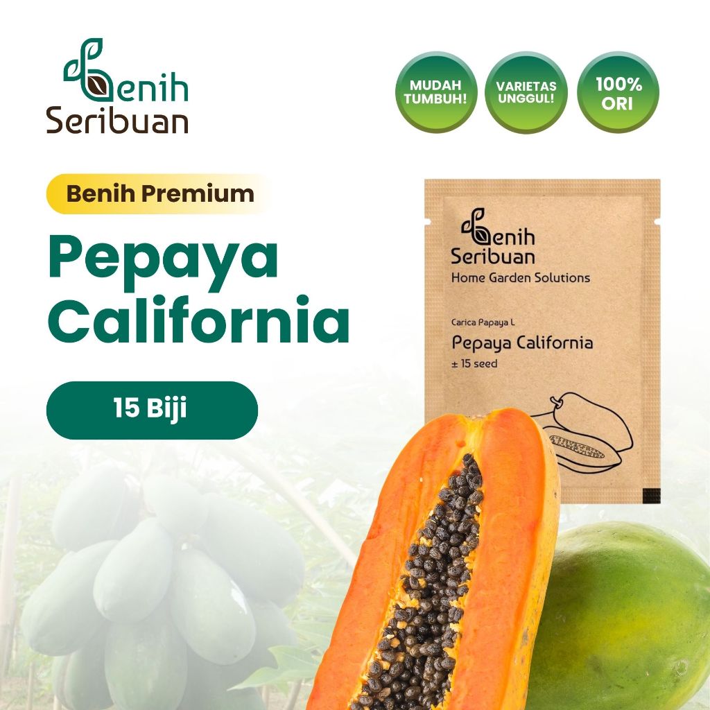 Benih Seribuan - Benih Buah Pepaya California F1 Hibrida