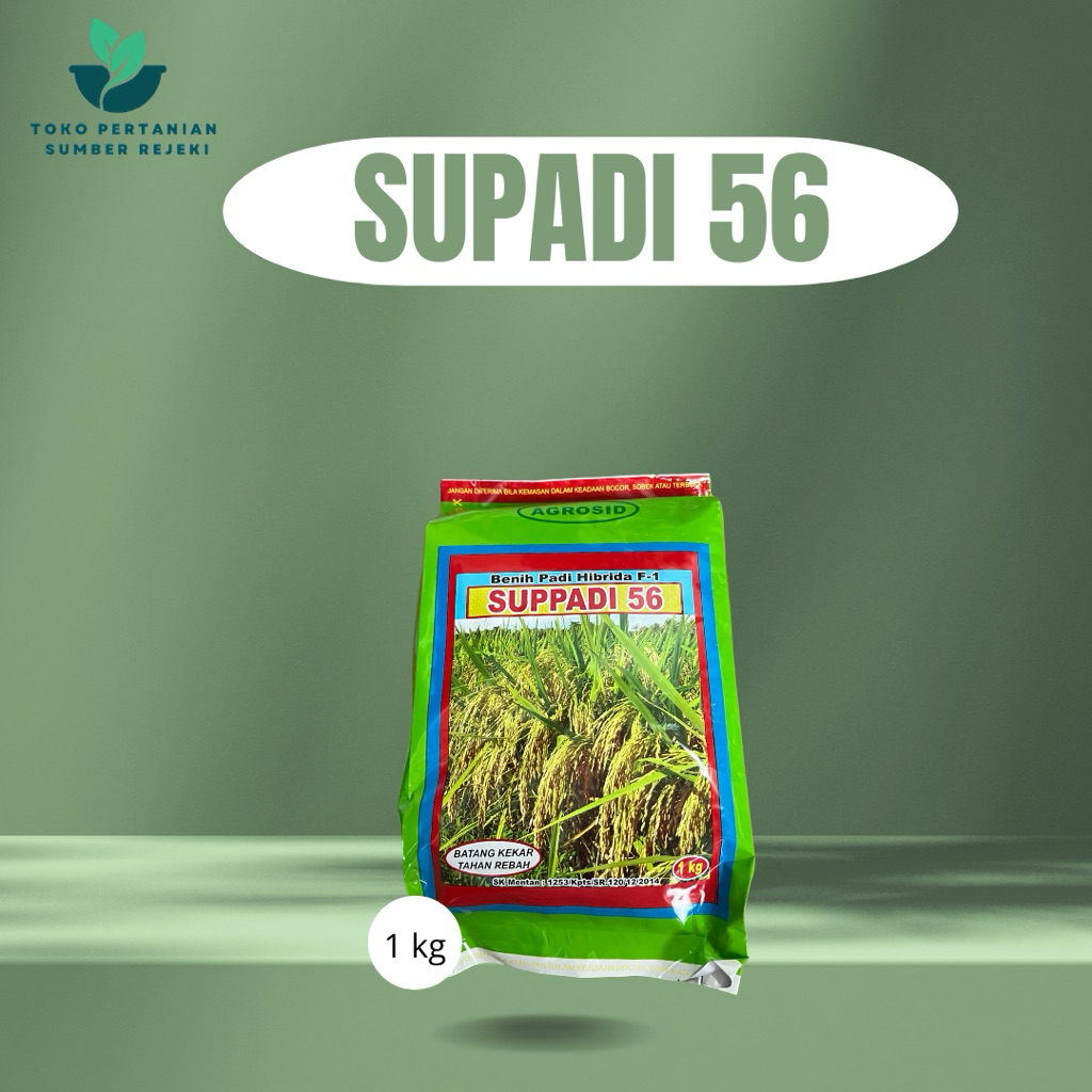 Jual BIBIT PADI HIBRIDA SUPADI 56 ORIGINAL 1 KG | Shopee Indonesia