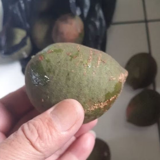 Ogil va ona haqida onlayn porno filmlar