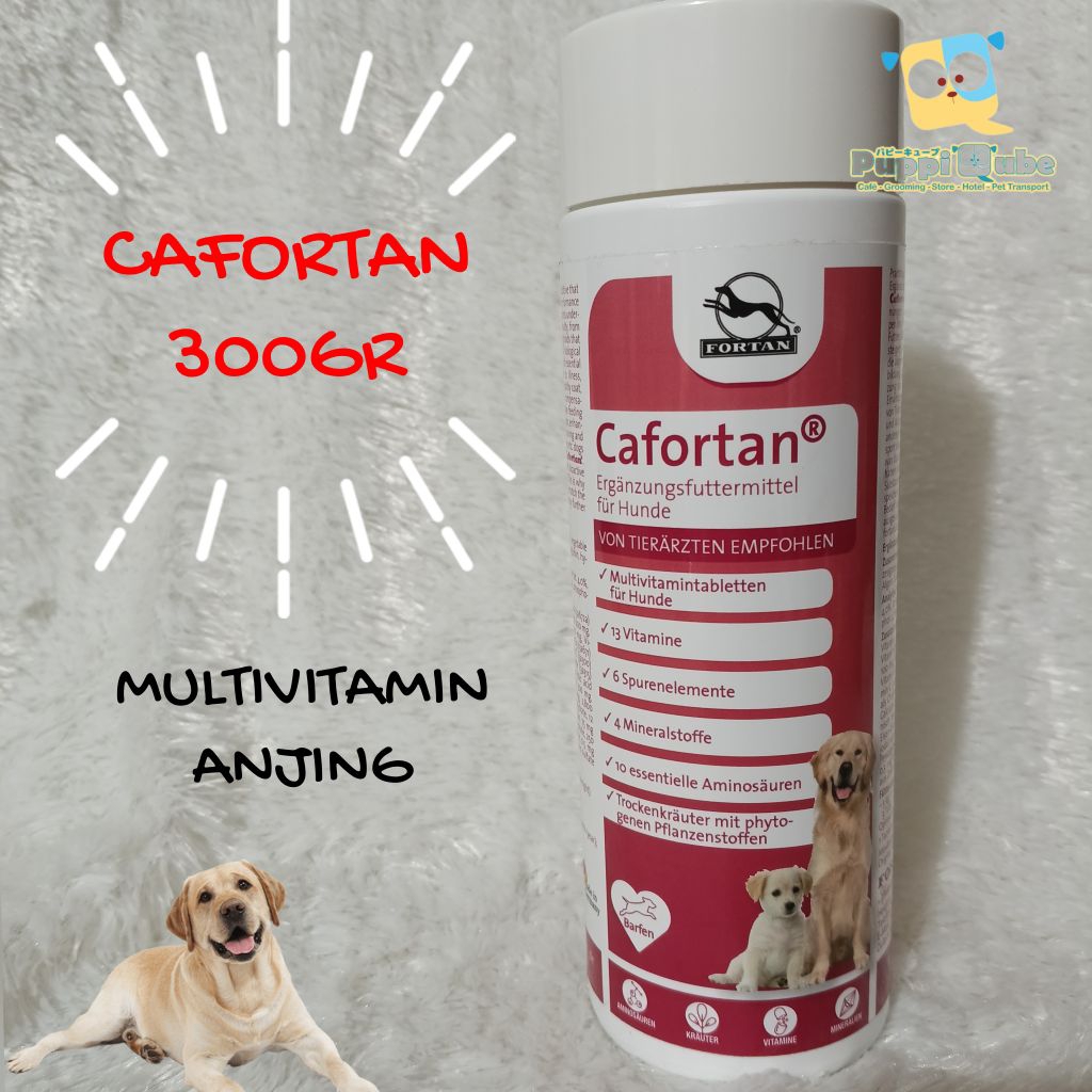 Jual Cafortan 300gr - Multivitamin Hewan Anjing Vitamin Kulit & Bulu ...