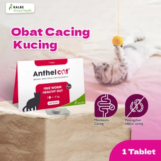 Anthel Cat 1 Tablet - Obat Cacing Kucing by Kalbe [ORIGINAL]