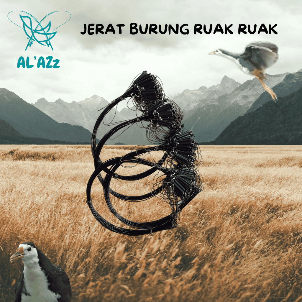 Jual Racik/jerat burung ruak ruak,peruk, kareo padi,sintar sawah ...