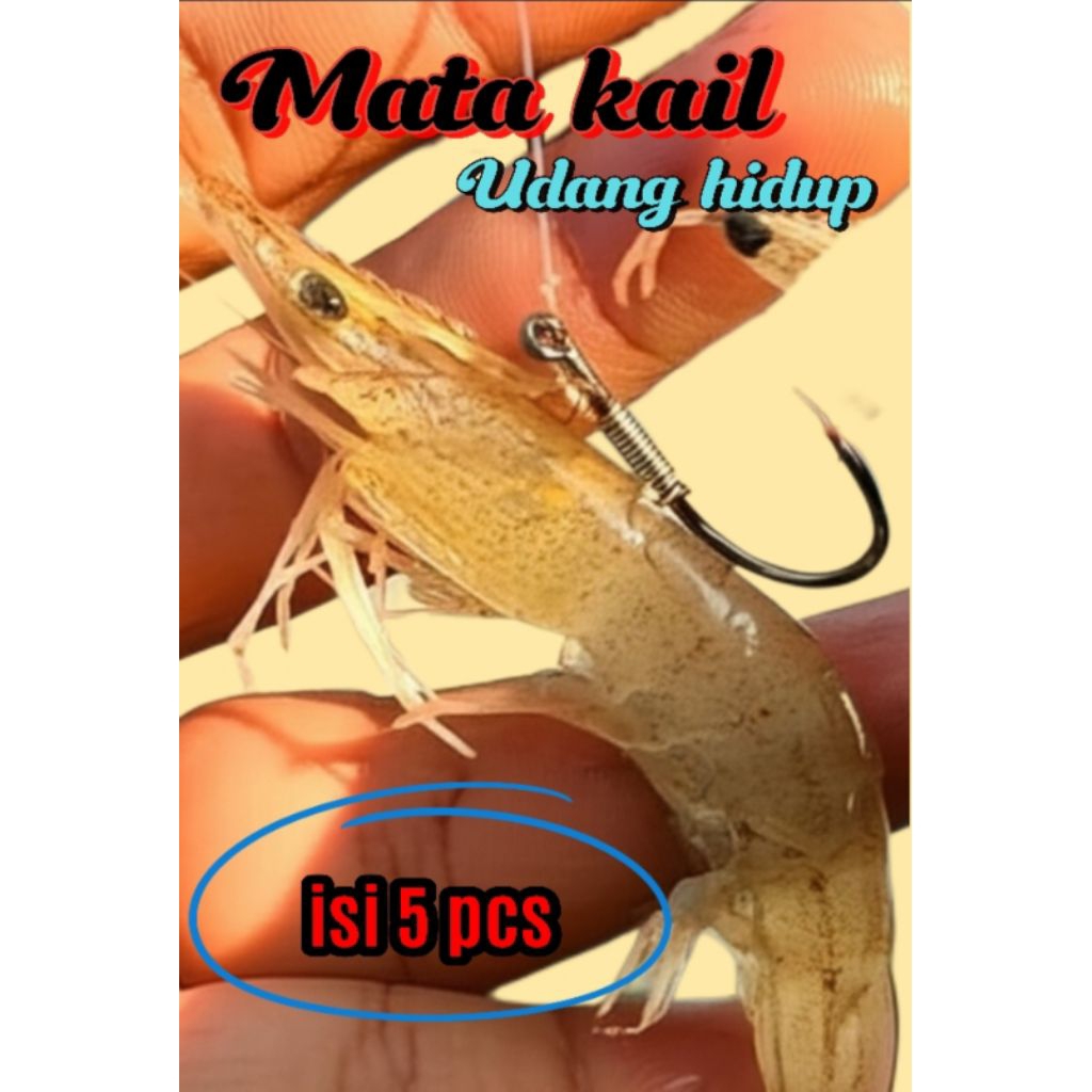 Jual Mata kail untuk udang hidup 1 pack isi 5 pcs kail + karet cadangan ...