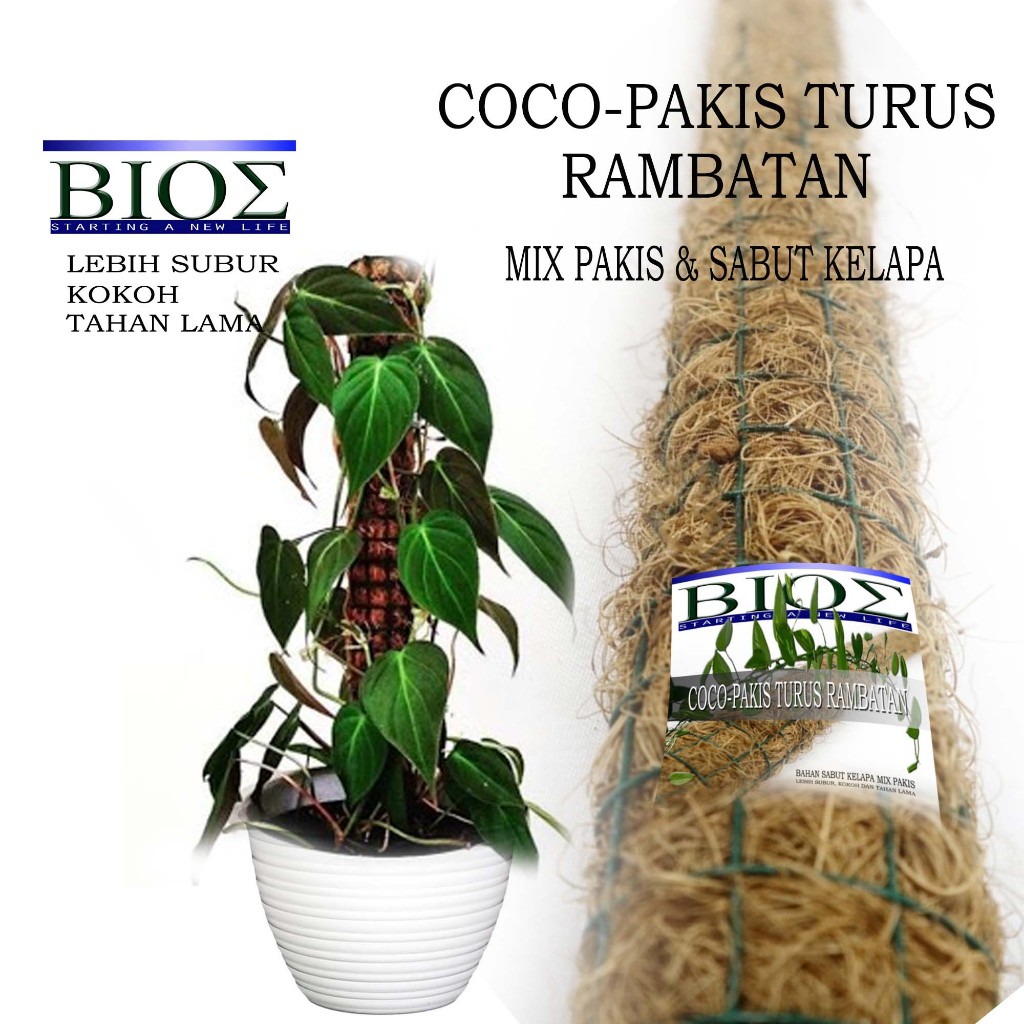 Jual Turus Rambatan Mix Pakis & Sabut Kelapa ukuran 45cm dan 90cm tiang ...