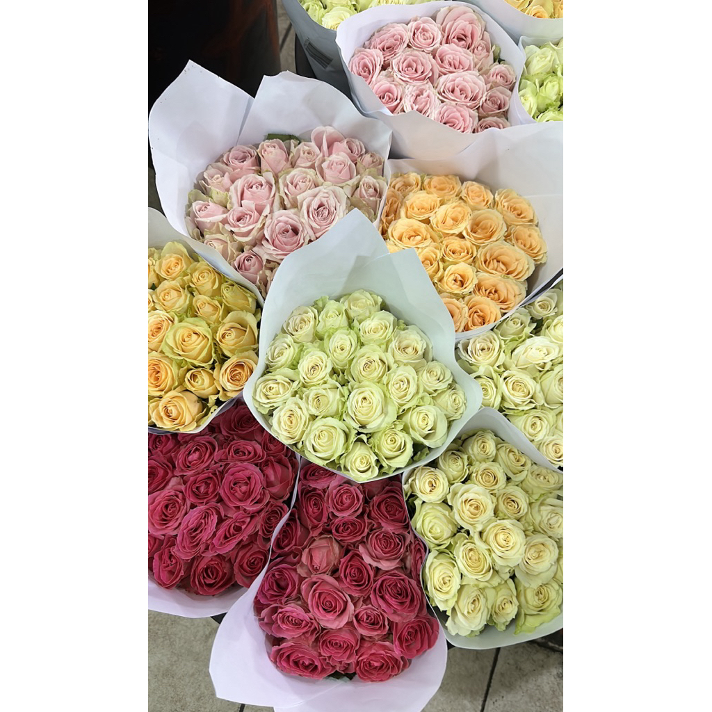 Produk Pasar Bunga Rawa Belong | Shopee Indonesia