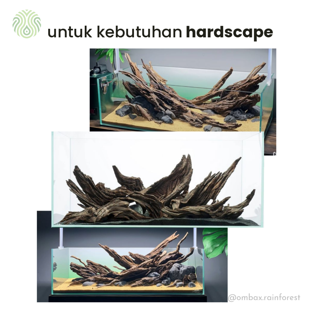 Jual Kayu sono rentek XXL / Driftwood - Aquascape, Vivarium ...