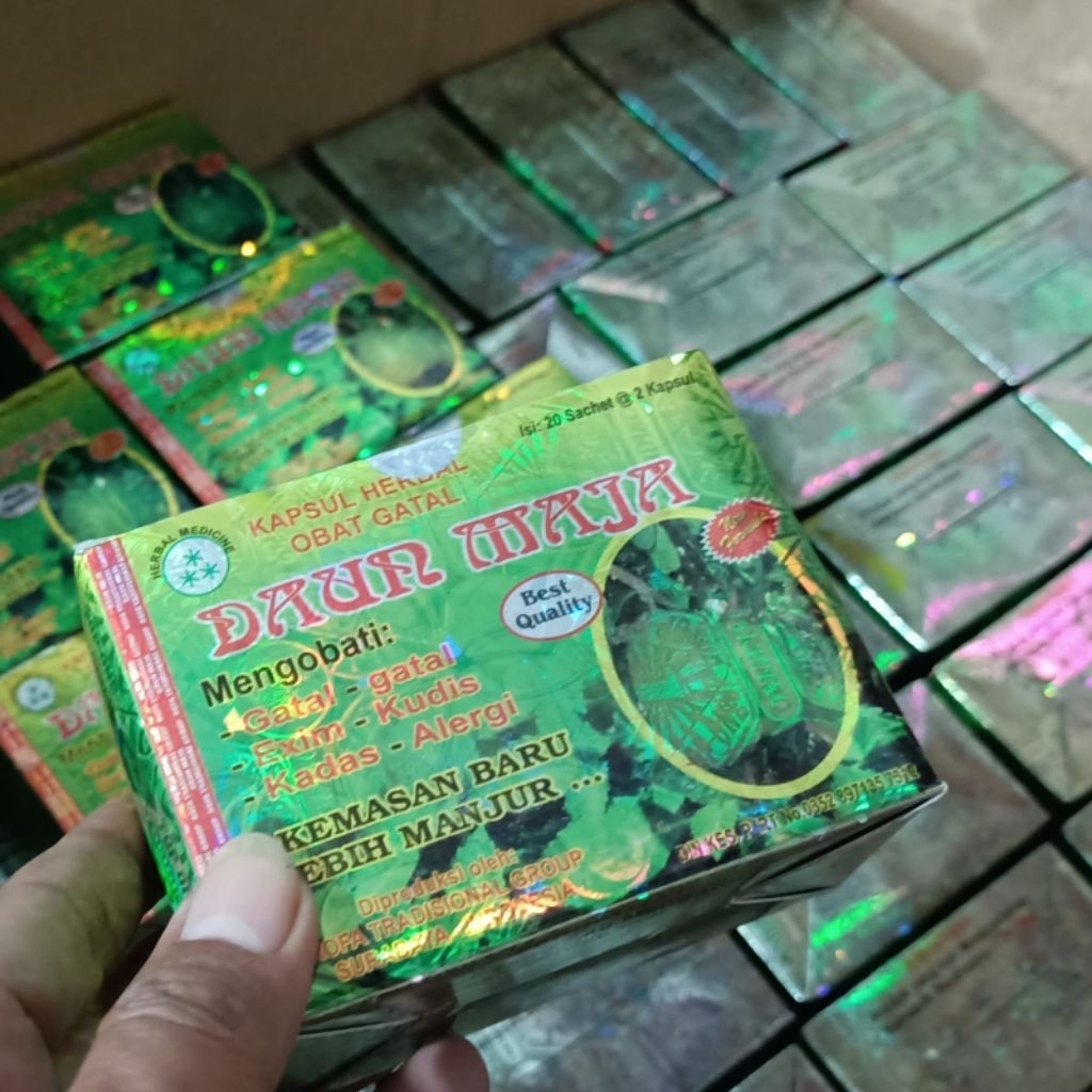 Jual OBAT GATAL/OBAT ALERGI/OBAT EXIM/KAPSUL DAUN MAJA ORIGINAL ...