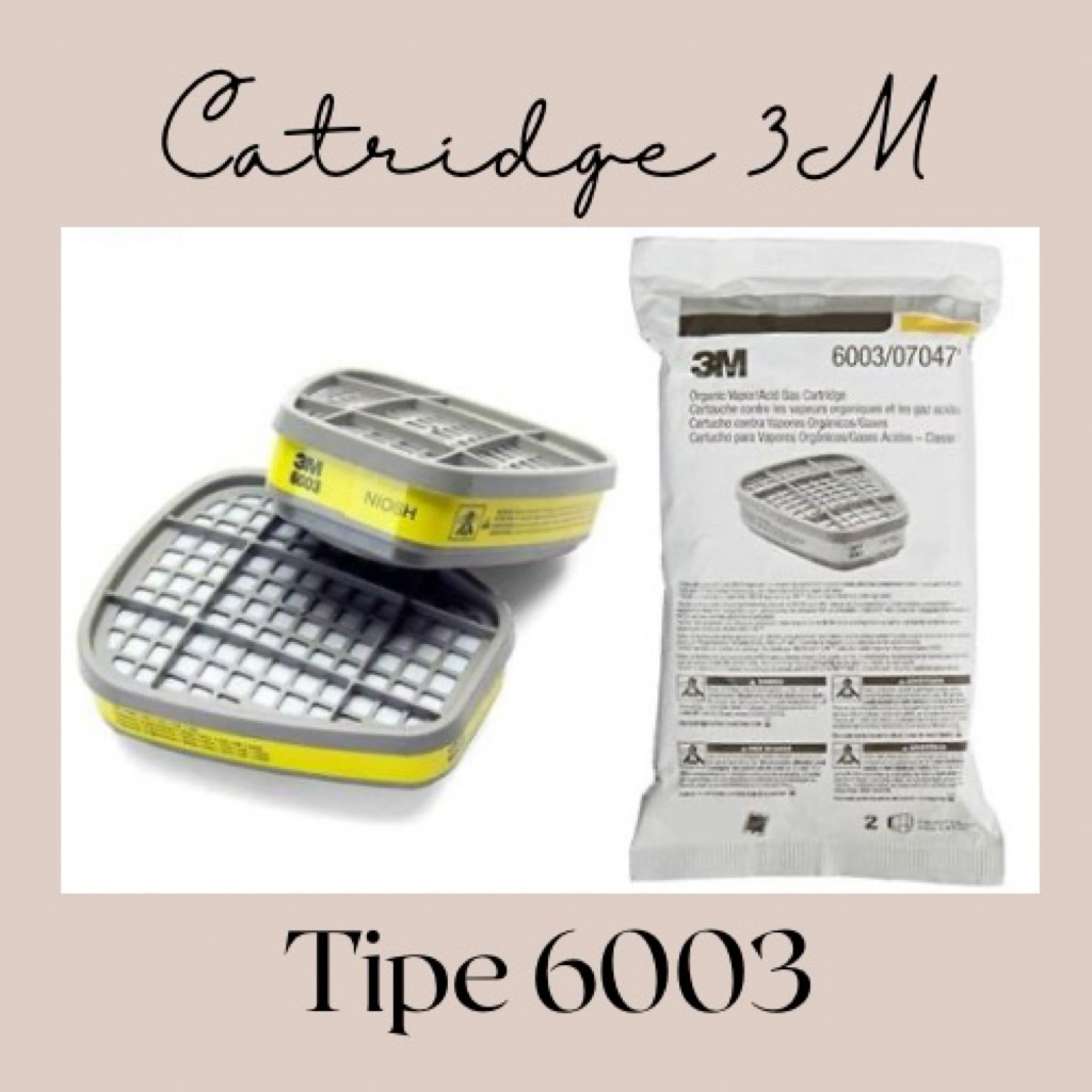 Jual CATRIDGE MASK 3M 6003 | Shopee Indonesia