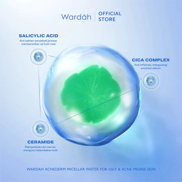 Wardah Acnederm Acne Care Micellar Water 100ml