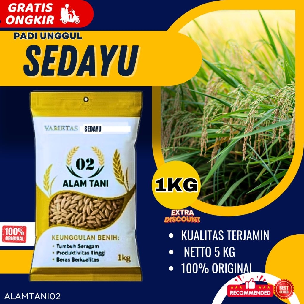 Bibit Padi Unggul