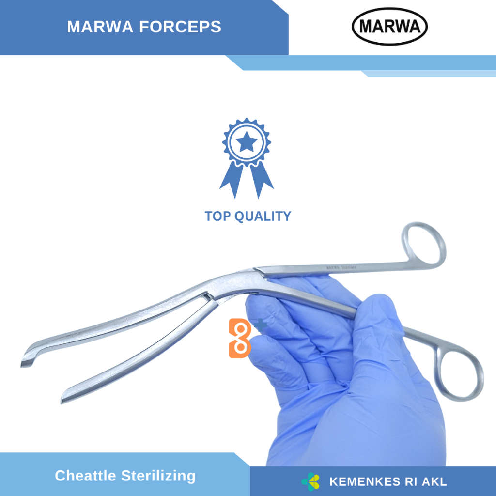 Jual Cheattle Sterilizing Forcep / Cheatle Cheatel | Shopee Indonesia