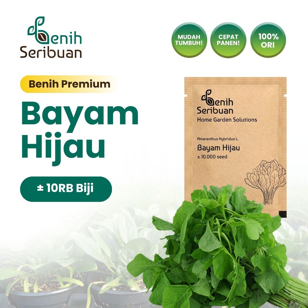 Benih Seribuan - Benih Sayuran Bayam Hijau Unggul