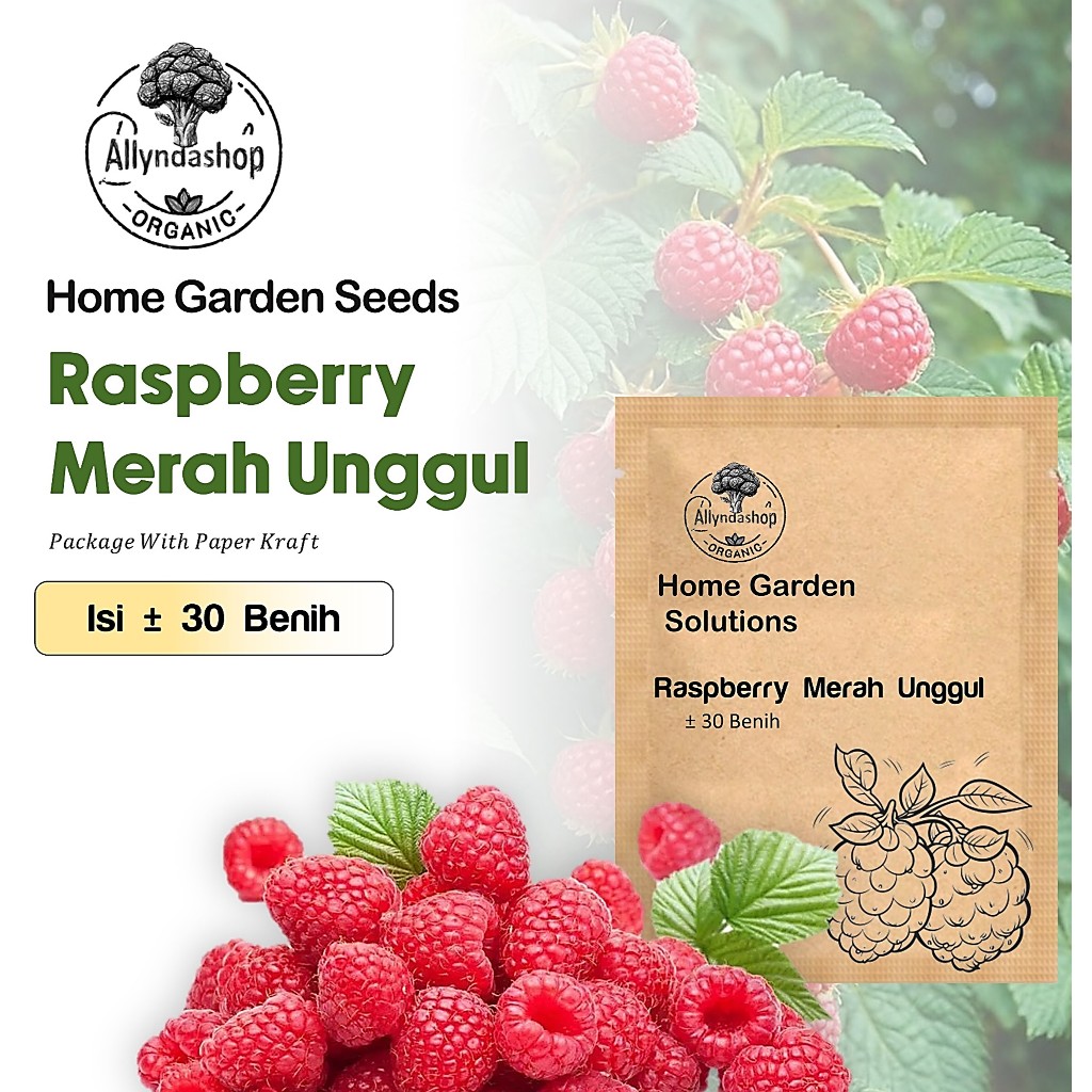 30 Biji -  Bibit Benih Buah Raspberry Merah Unggul