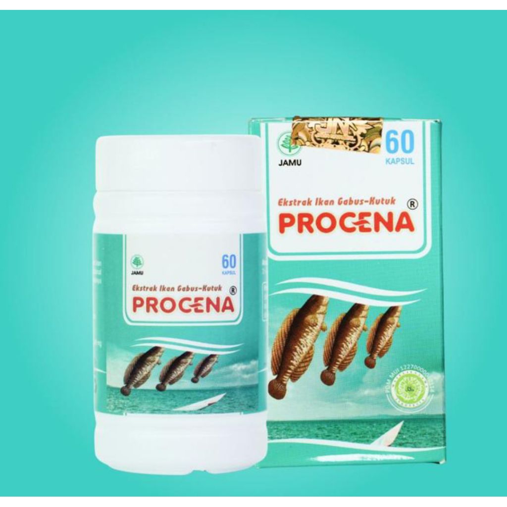 Jual Kapsul Ikan Gabus Kutuk Asli Original Procena Obat Pengering Luka ...