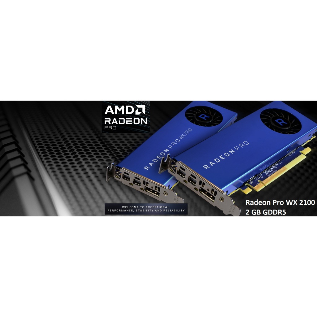 AMD RADEON PRO WX 2100 2GB DDR5 WX2100 Profesional GPU CARD VGA khusus Desain Low profile LP untuk mini PC