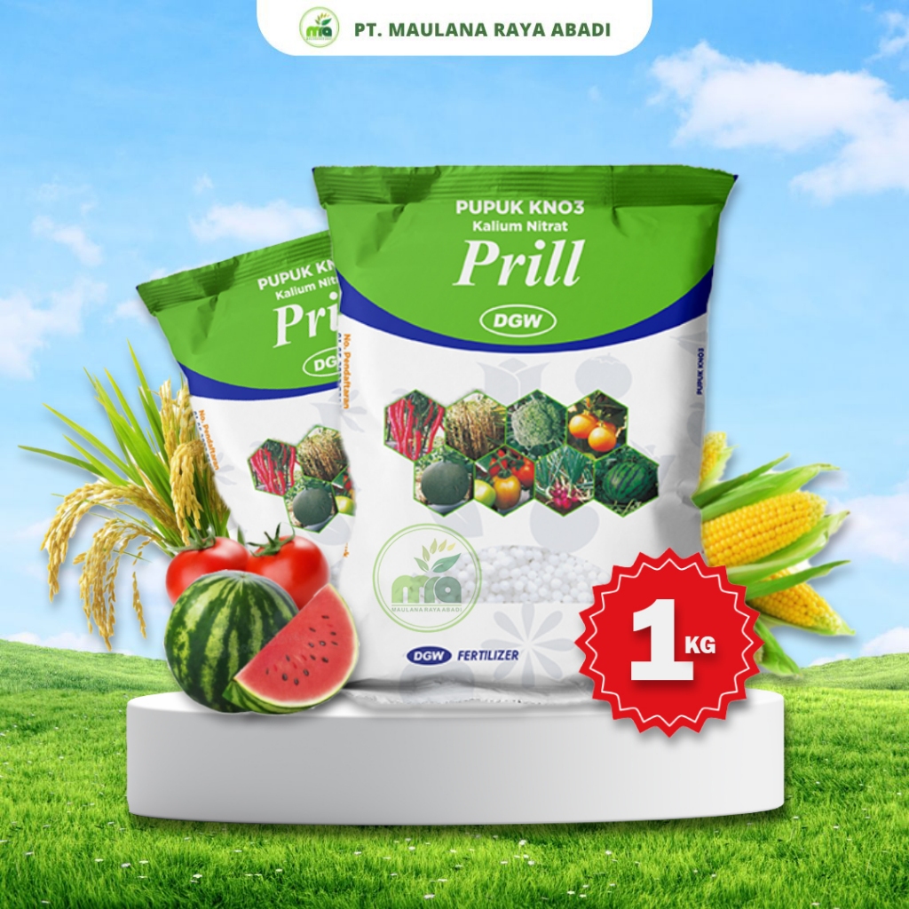 Jual PUPUK KNO3 PRILL KEMASAN 1KG | Shopee Indonesia