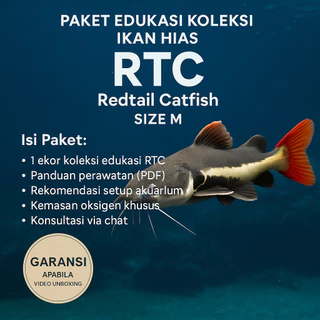 Jual Ikan RTC Terlengkap & Harga Terbaru Februari 2026 | Shopee Indonesia