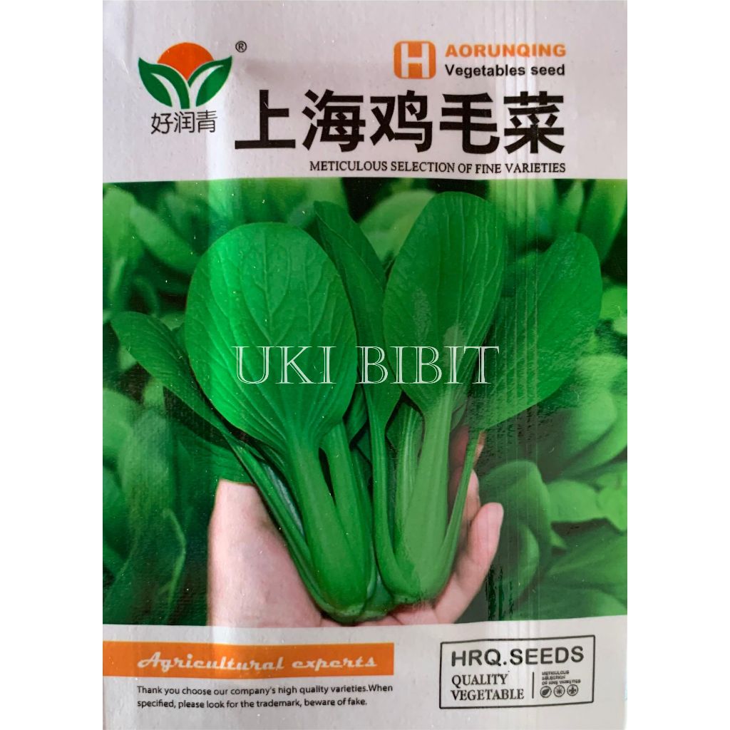 Jual Kemasan Mini | Benih Biji Pakcoy Hijau | Sawi Sendok | Sawi ...