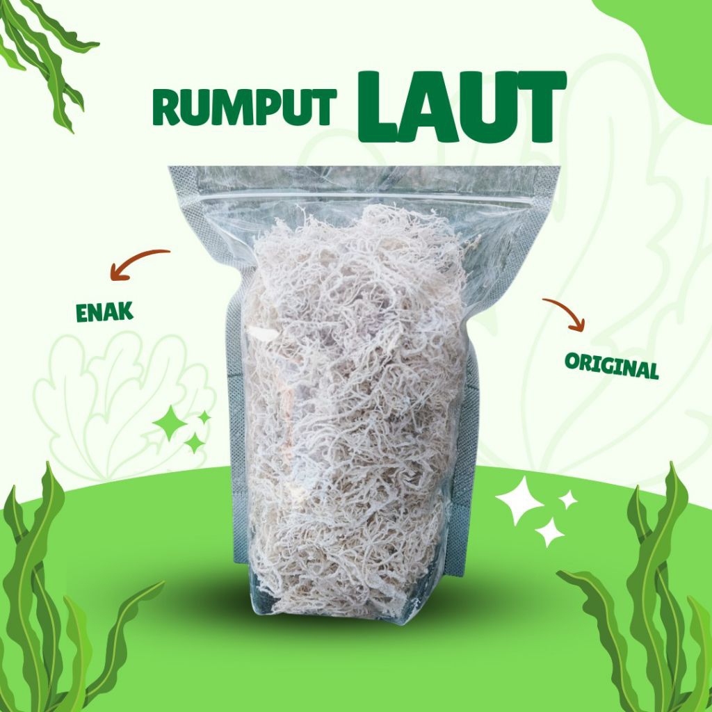 Jual Rumput Laut Putih Kering 500 gram | Shopee Indonesia