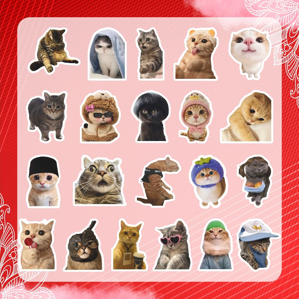 Jual STICKER PACK MEME KUCING V2 (50 PCS) | STIKER KARAKTER KUCING REAL ...
