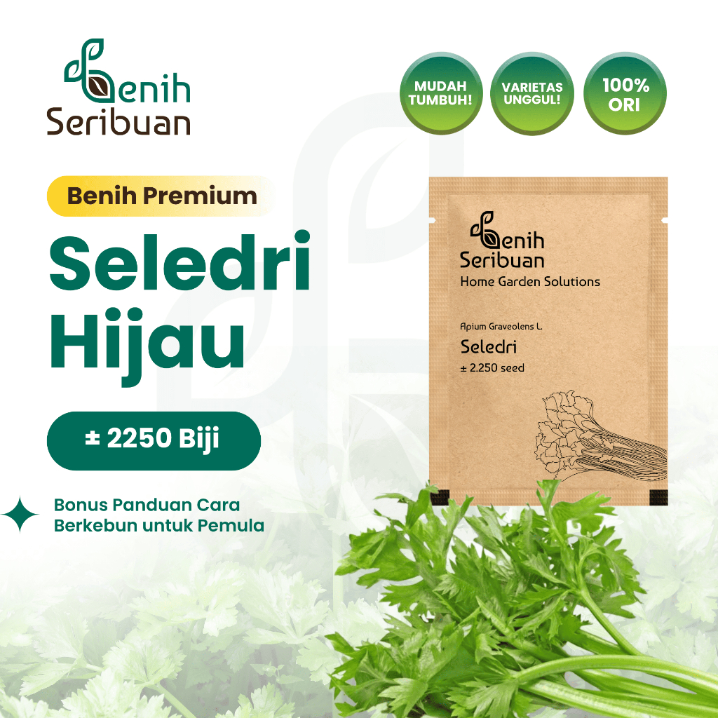 Benih Seribuan - Benih Sayuran Seledri Unggul