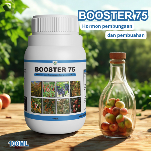 Jual BOOSTER BUAH BOOSTER 75 - BOOSTER 75 PUPUK BUAH - PUPUK BOOSTER ...
