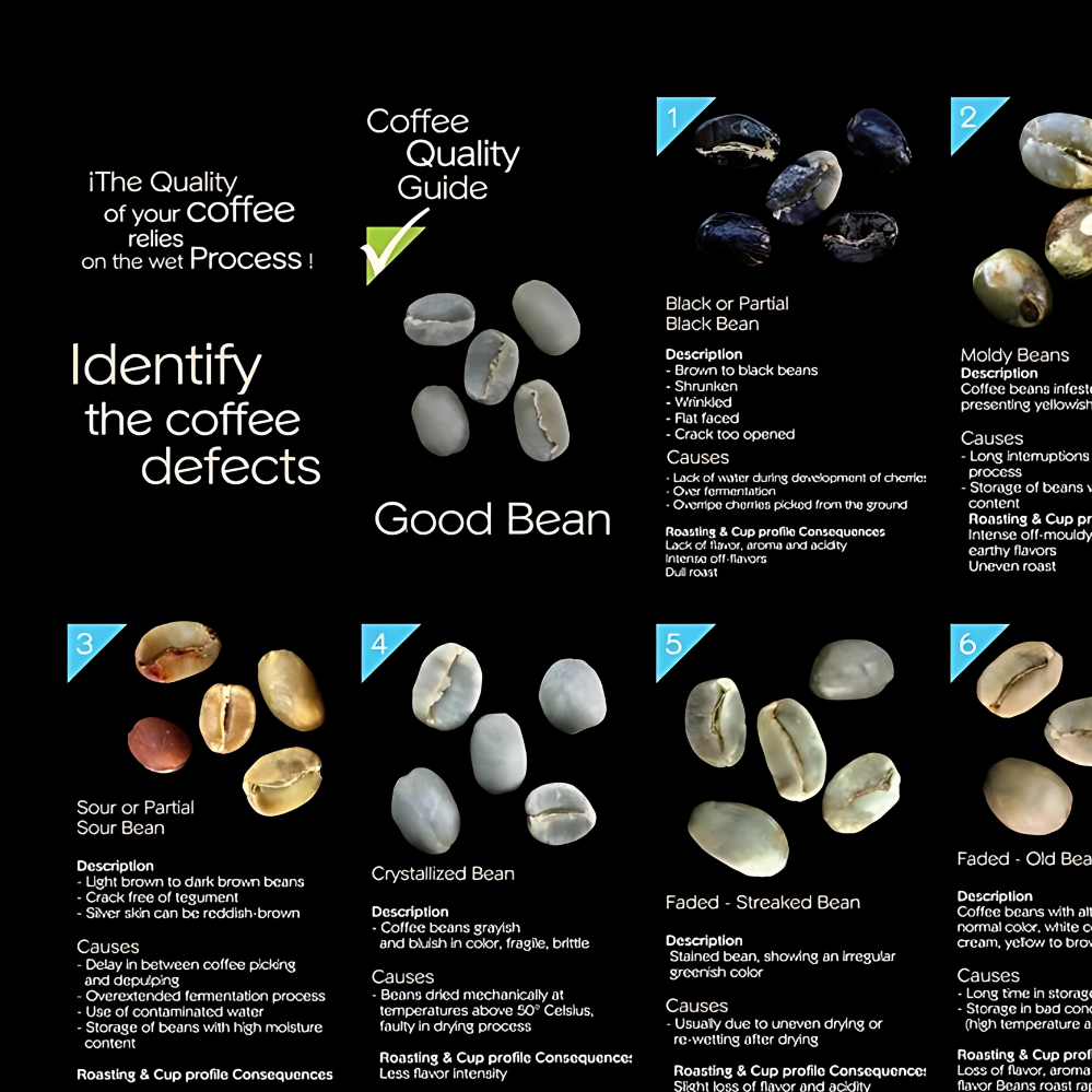 Jual Poster Kopi Coffee Defects Classification A2 Framed - Green Bean ...