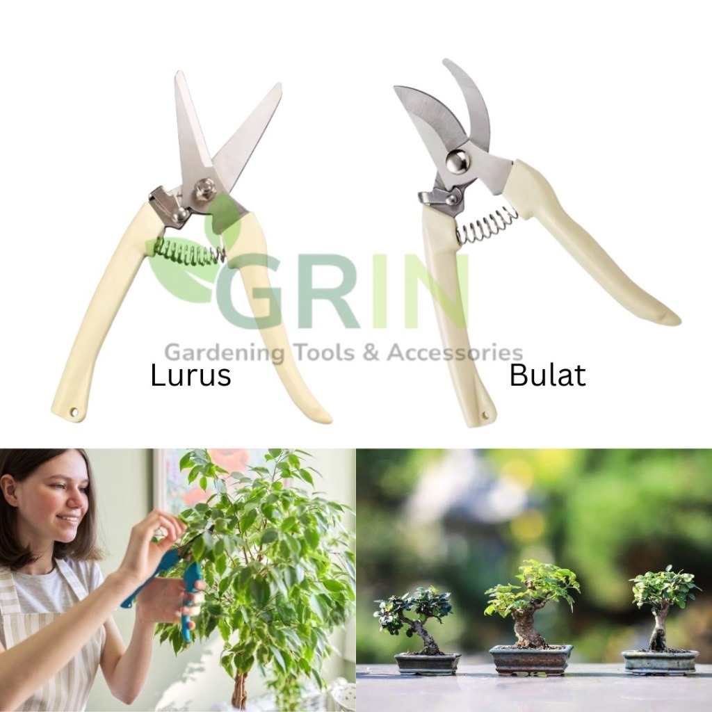 Jual Gunting Dahan / Gunting Ranting / Pruning Shears / Scissors Curve ...
