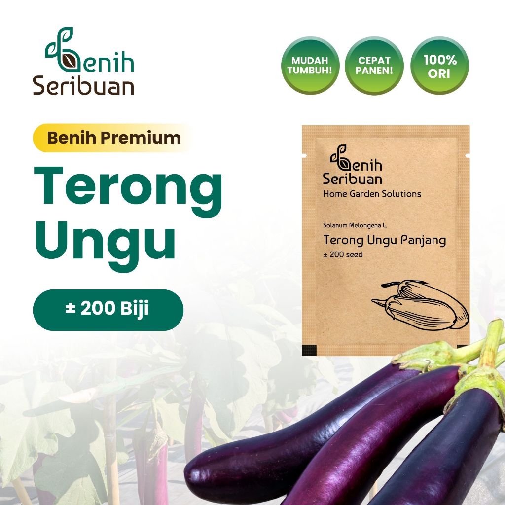 Benih Seribuan - Benih Sayuran Terong Ungu Panjang F1 Hibrida